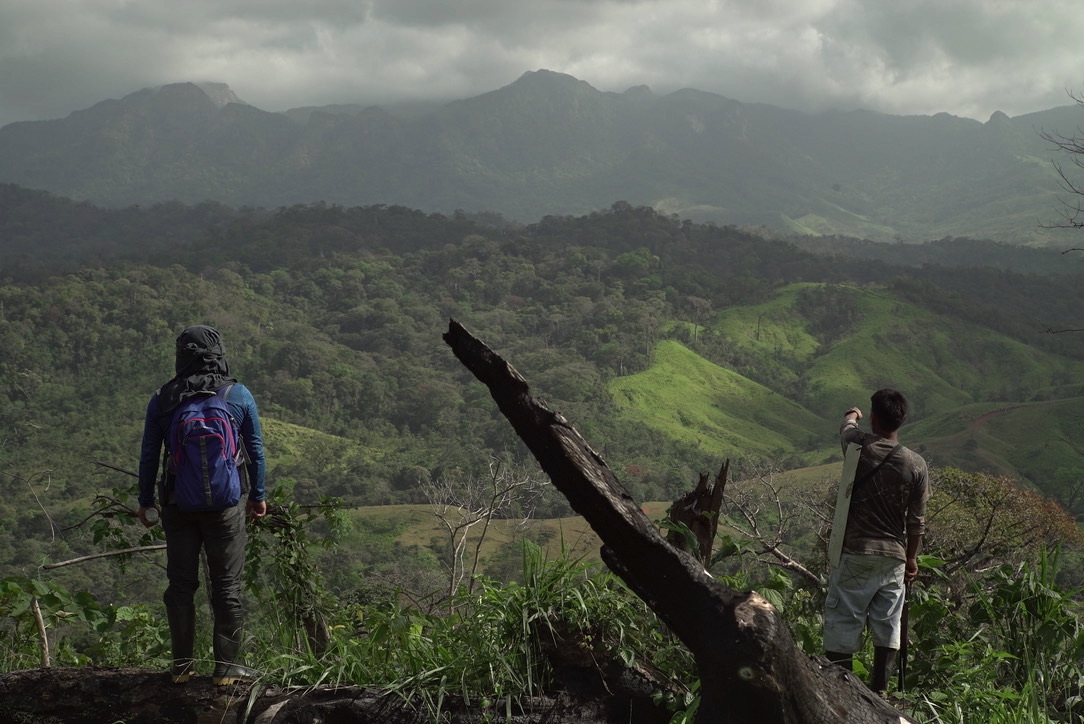 In Eastern Panama Indigenous Peoples Fight Deforestation As Theyre