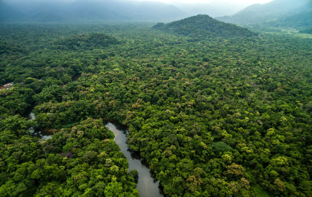 A dark river winds through a green expanse of Amazon rainforest