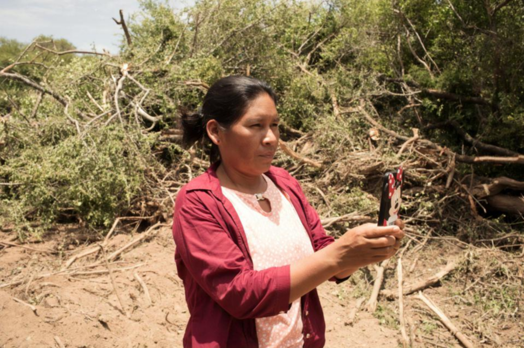 Betty‌ ‌‌Rubio‌ ‌Padilla uses her cell phone to monitor the Amazon Rainforest for deforestation.