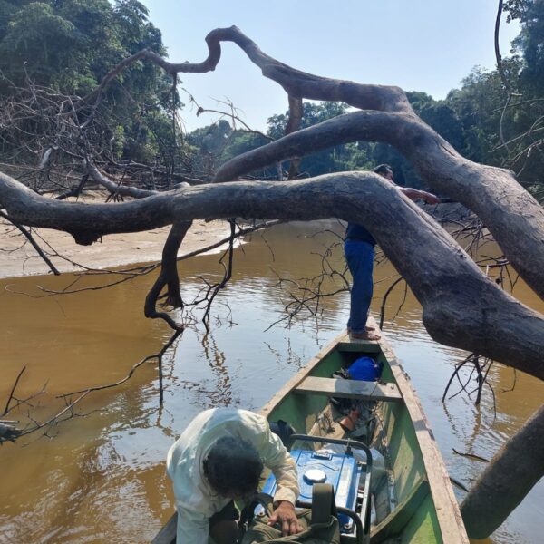 Many rivers, like the Apayacu in Peru, have gotten so low that even small boats cannot pass, isolating communities and hindering transportation of basic necessities. Photo: José Murayari I ORPIO