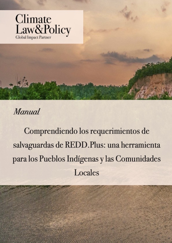 REDD Plus Booklet Spanish thumbnail