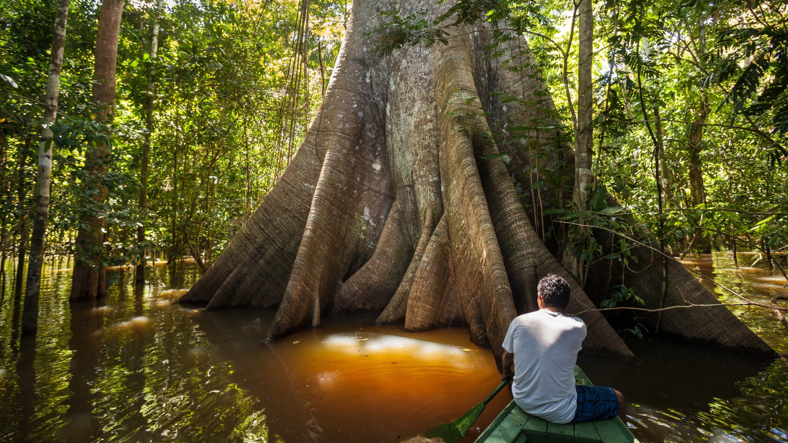 Winter 2025 Newsletter: A Year In Review 9 AdobeStock 210707508 1 edited scaled