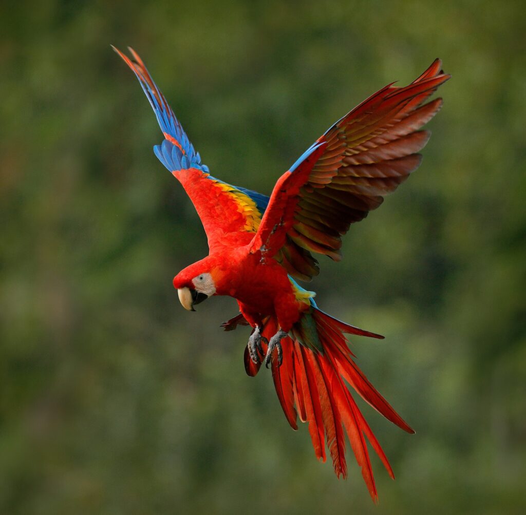 AdobeStock 279454177 1