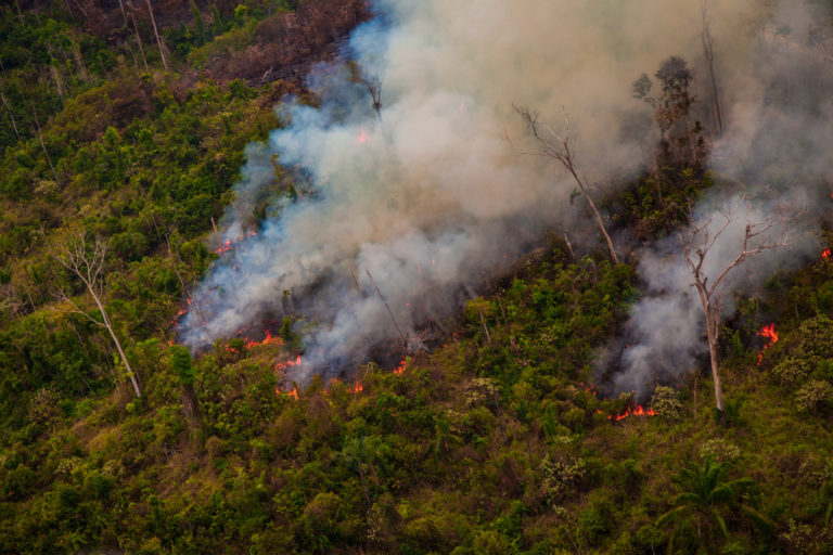 Fires burn bushes and trees in Jamanxim National Forest in Brazil, billowing smoke.