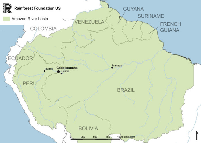 New Covid 19 Variant Threatens Indigenous Peoples In The Amazon Rainforest Foundation Us
