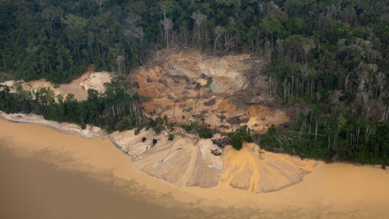 Impacts of mining in the Yanomami people's territory.