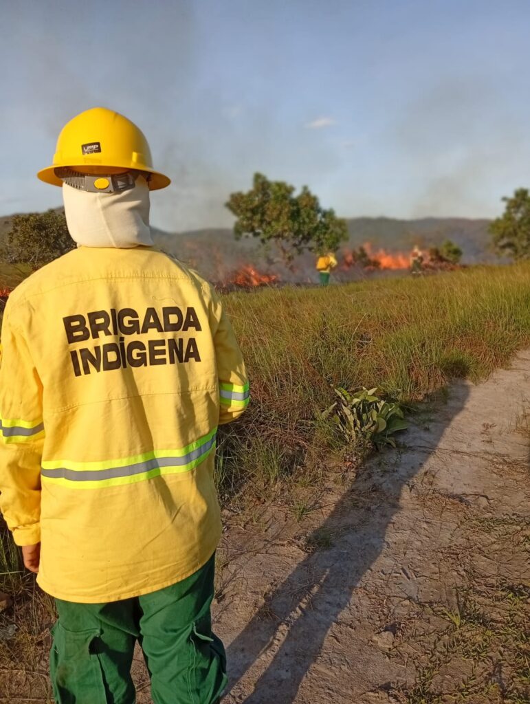 Fall 2026 Newsletter 3 An Indigenous woman firefighter stands in front of a controlled fire in Roraima, Brazil