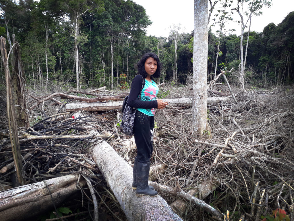A young indigenous woman stands in the middle of a deforested area.