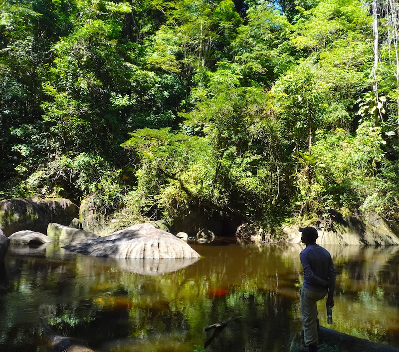 a man standing in a body of water surrounded by trees