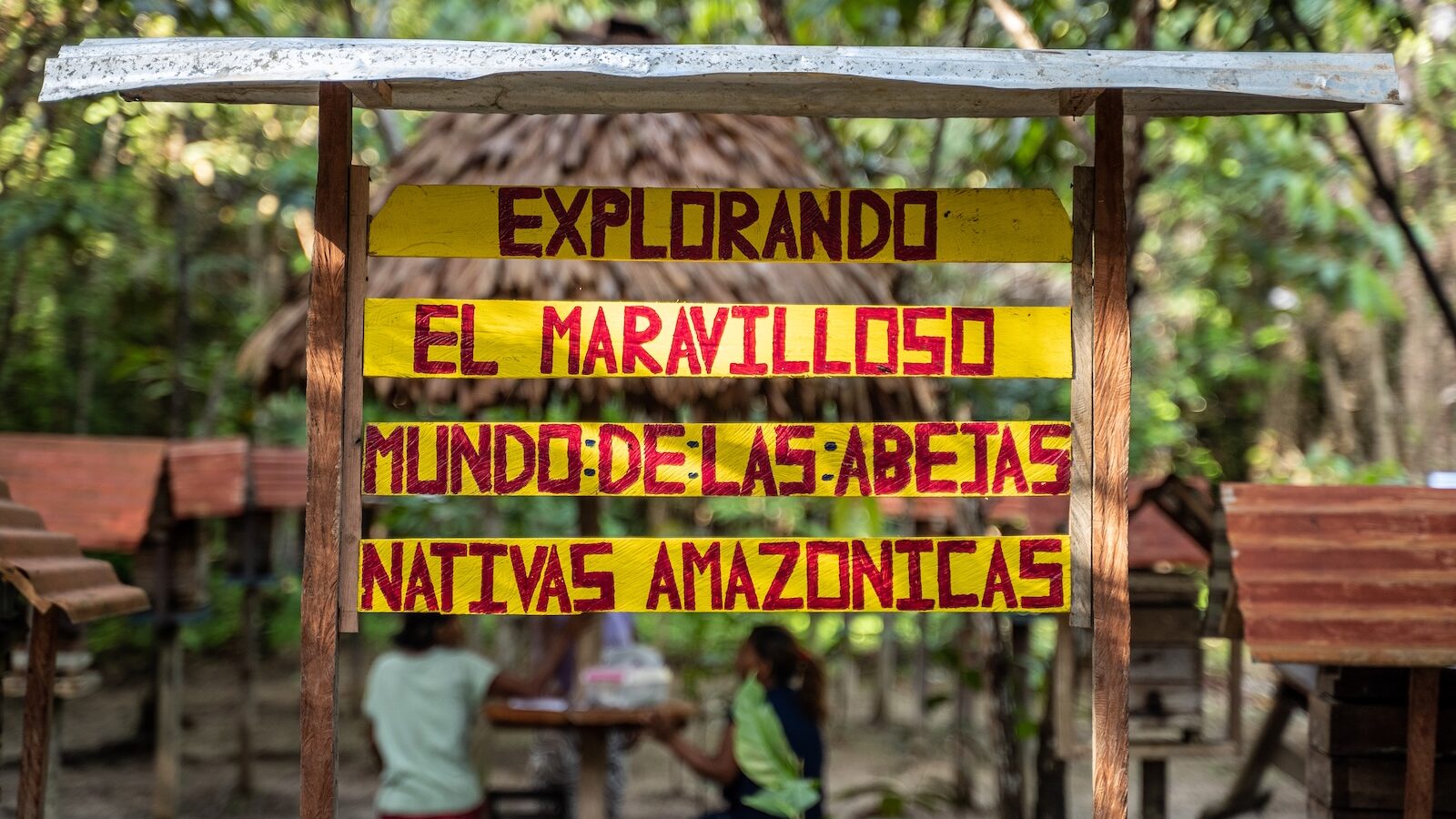 In the Maijuna community of Nueva Vida, a sign reads, “Exploring the Wonderful World of Native Amazonian Bees.” IMAGE CREDIT: Sacha Cine / Rainforest Foundation US