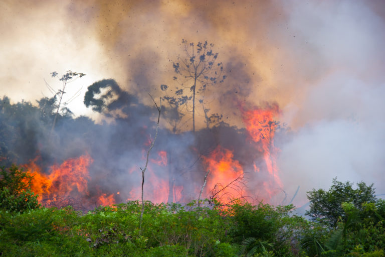 Flames engulf trees in the Brazilian Amazon, surrounded by brown smoke and flying ash