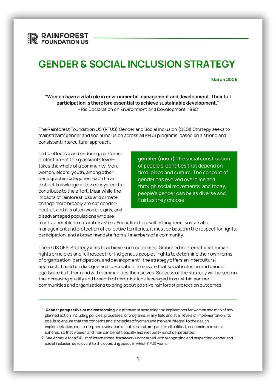 GESI Strategy thumbnail