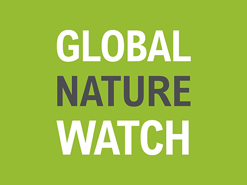 Global Nature Watch