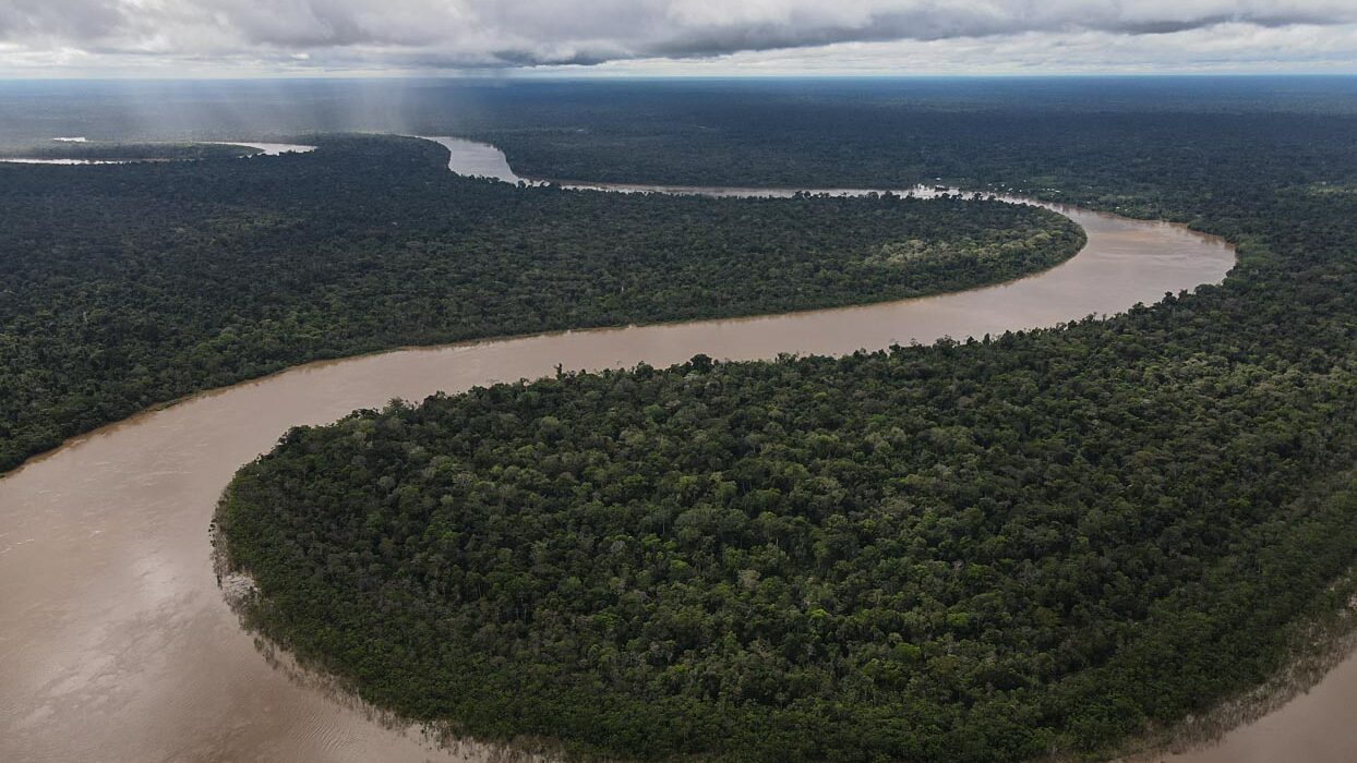 Aerial view of the Yavarí-Tapiche corridor 