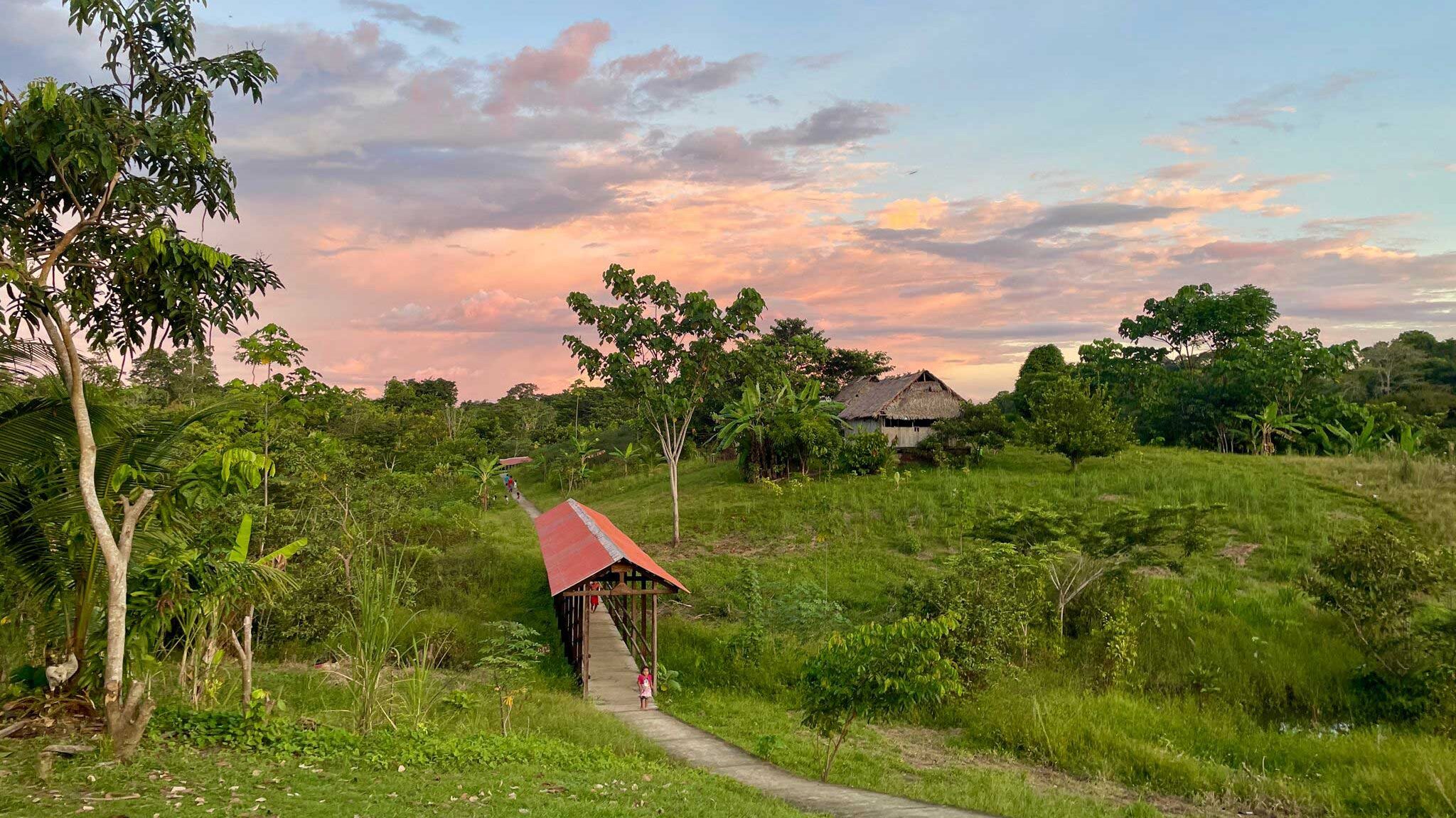 Summer 2026 Newsletter 4 A view of one of RFUS’s partner Ticuna communities in the Upper Napo region of the Peruvian Amazon