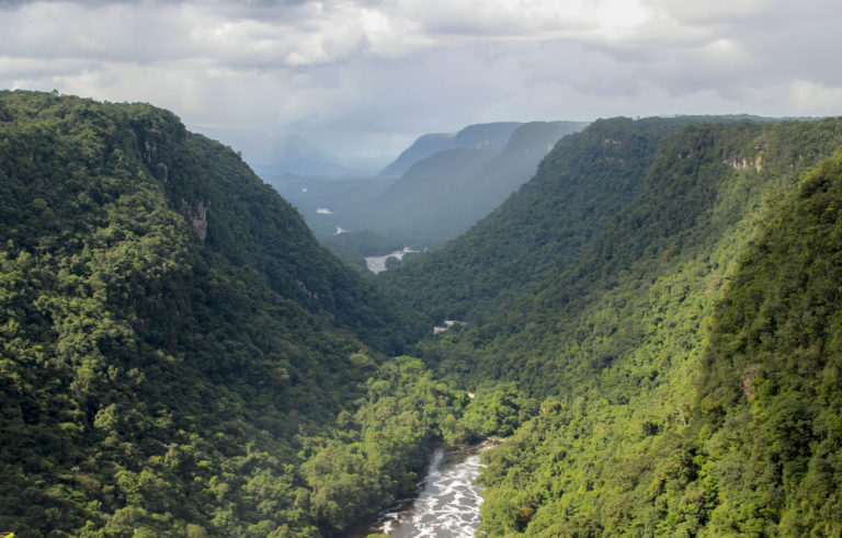 Valley of Kaieteur Falls, Guyana