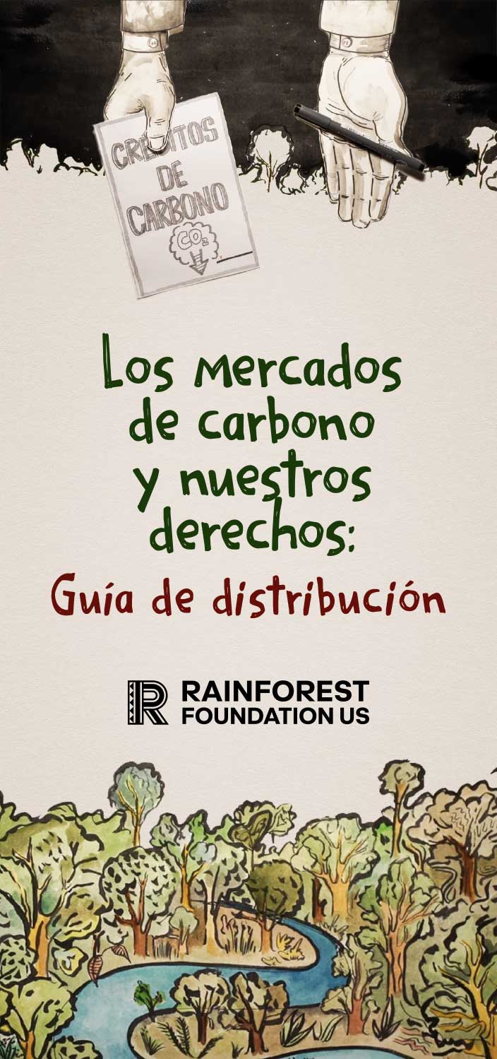 Mercado-de-Carbono-Guia-Distribucion-ESP