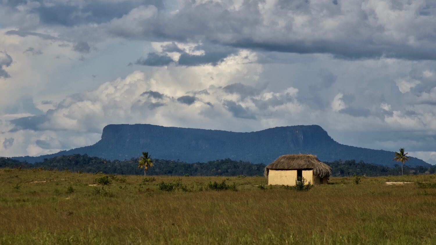 North Pakaraimas Guyana edited