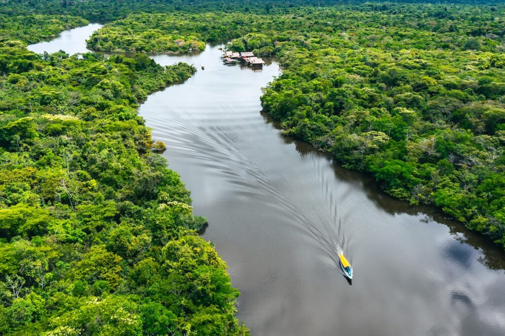 Where Ancestral Knowledge Meets Modern Tech (Published by Worth Magazine) 1 Peruvian Amazon AdobeStock 507123717