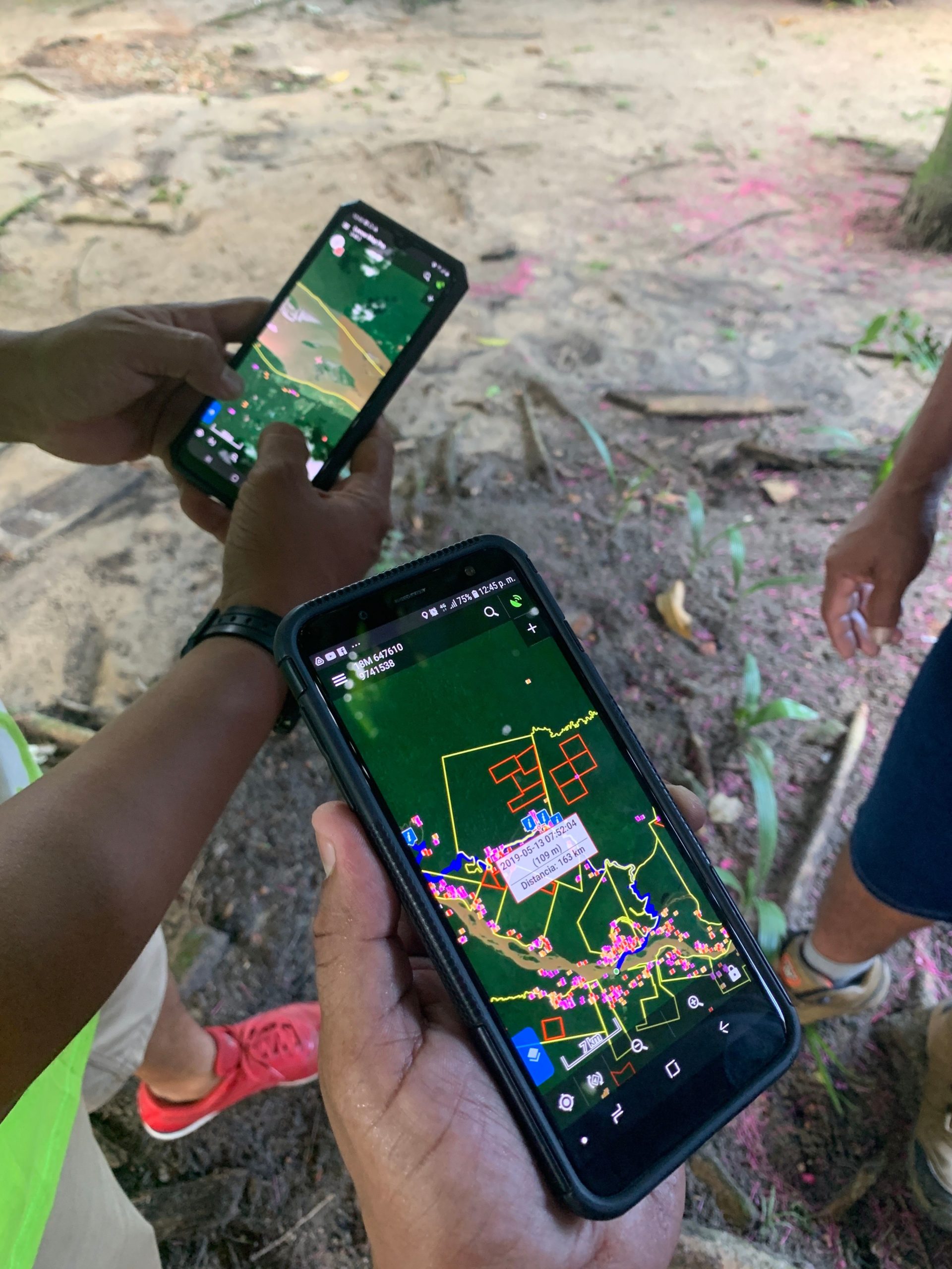 Indigenous forest monitors check deforestation alerts on their phones.