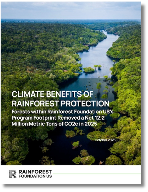 Rainforest Foundation US’s Climate Impact Report: 12M+ Metric Tons of CO₂e Removed in 2025 1 Report thumbnail: Climate Benefits of Rainforest Protection