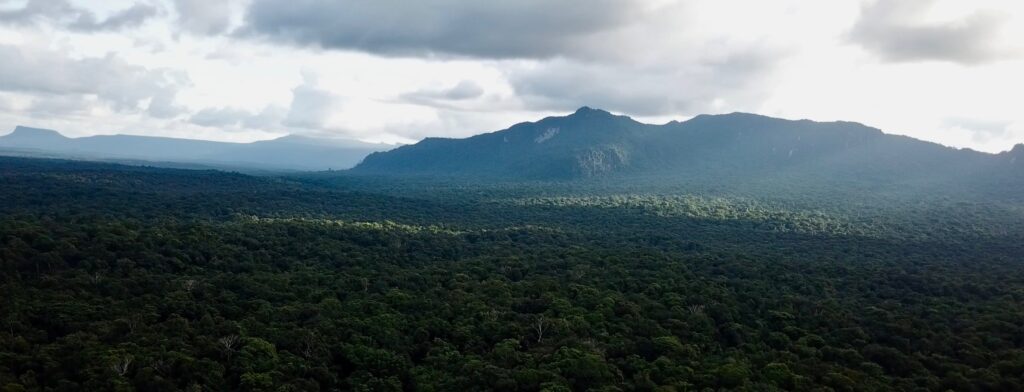 How Rainforest Foundation US Ranks Among the Most Effective Climate and Environmental Organizations 8 Screenshot 2019 08 06 10.41.02