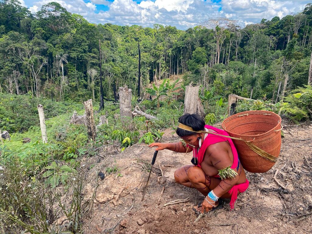 Yanomami woman Felipe Medeiros Amazonia Real