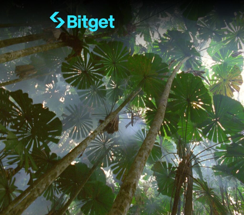 External News 1 bitget