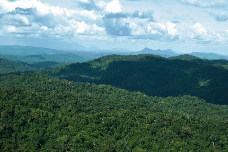 Aerial view of Roraima's Yanomami Indigenous Land