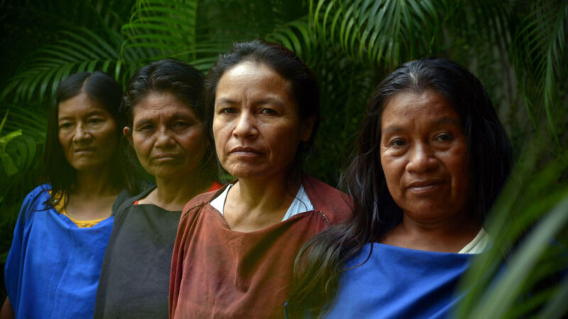 The four Saweto widows standing in a forward-facing line