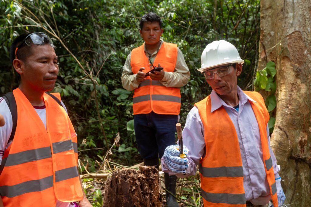 Forest monitors collect tree samples for the World Forest ID catalog. These samples help trace the origin of wood—a crucial tool to fight illegal logging and wood trade.